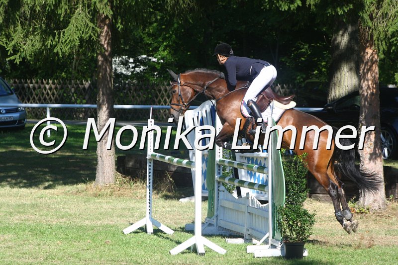 308M2817_Stil Mx_Stechen.JPG